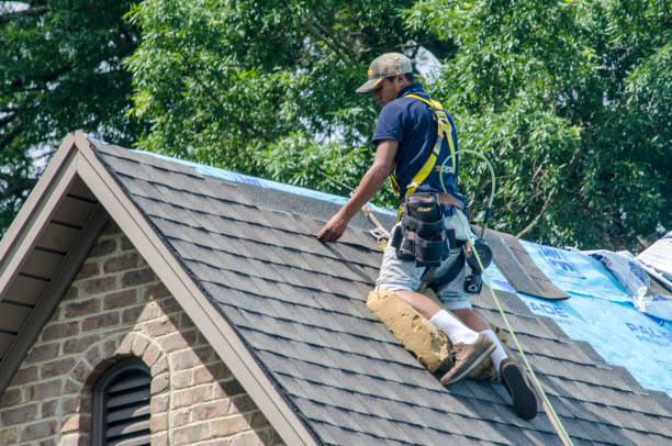 Best Roof Gutter Cleaning  in Baileyton, AL